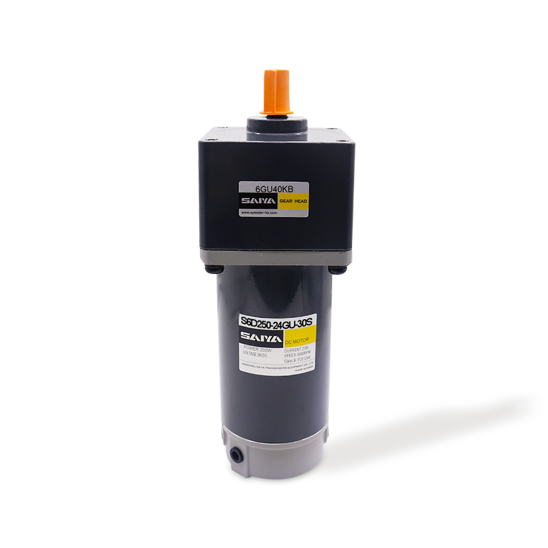 Motores de engrenagem DC Brush 250W Brush